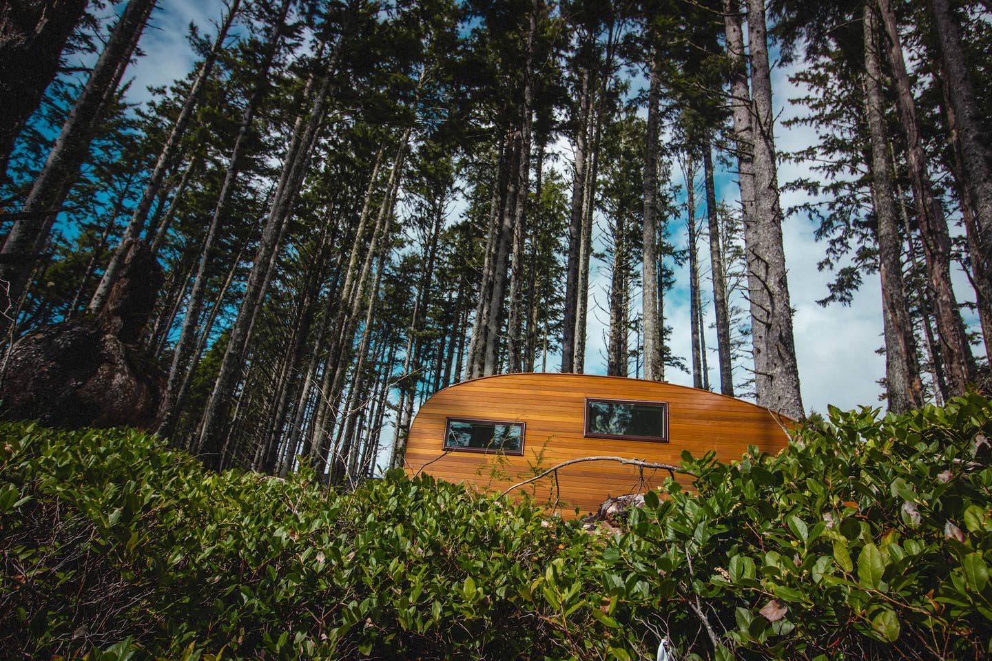 Camper submitted image from Roam Beyond - Kalaloch - 2