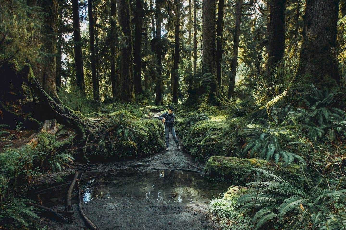 Camper submitted image from Roam Beyond - Kalaloch - 5
