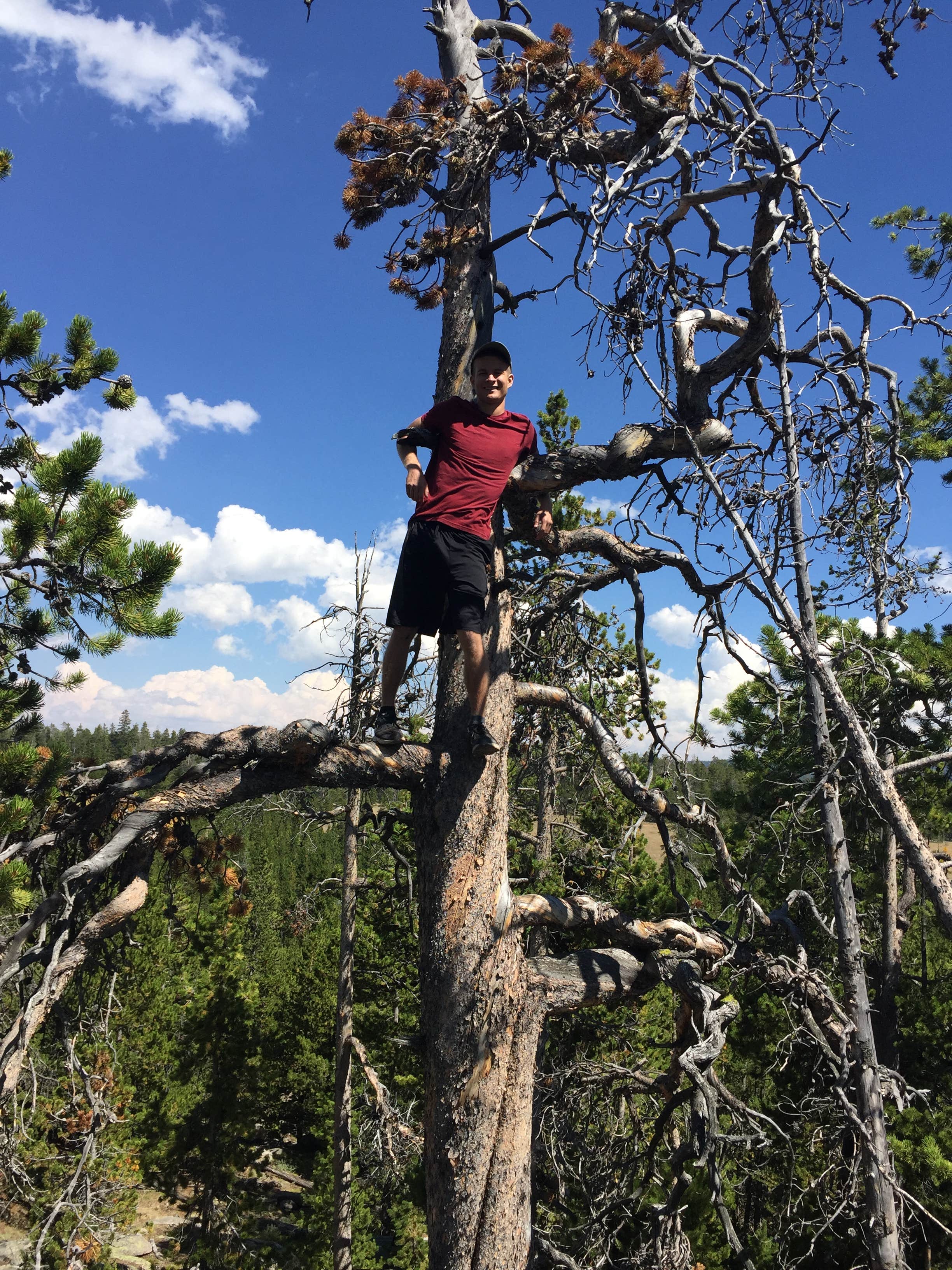 Camper submitted image from Ranger Creek - 1