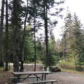 Review photo of Blackwoods Campground — Acadia National Park by Anna C., June 11, 2019