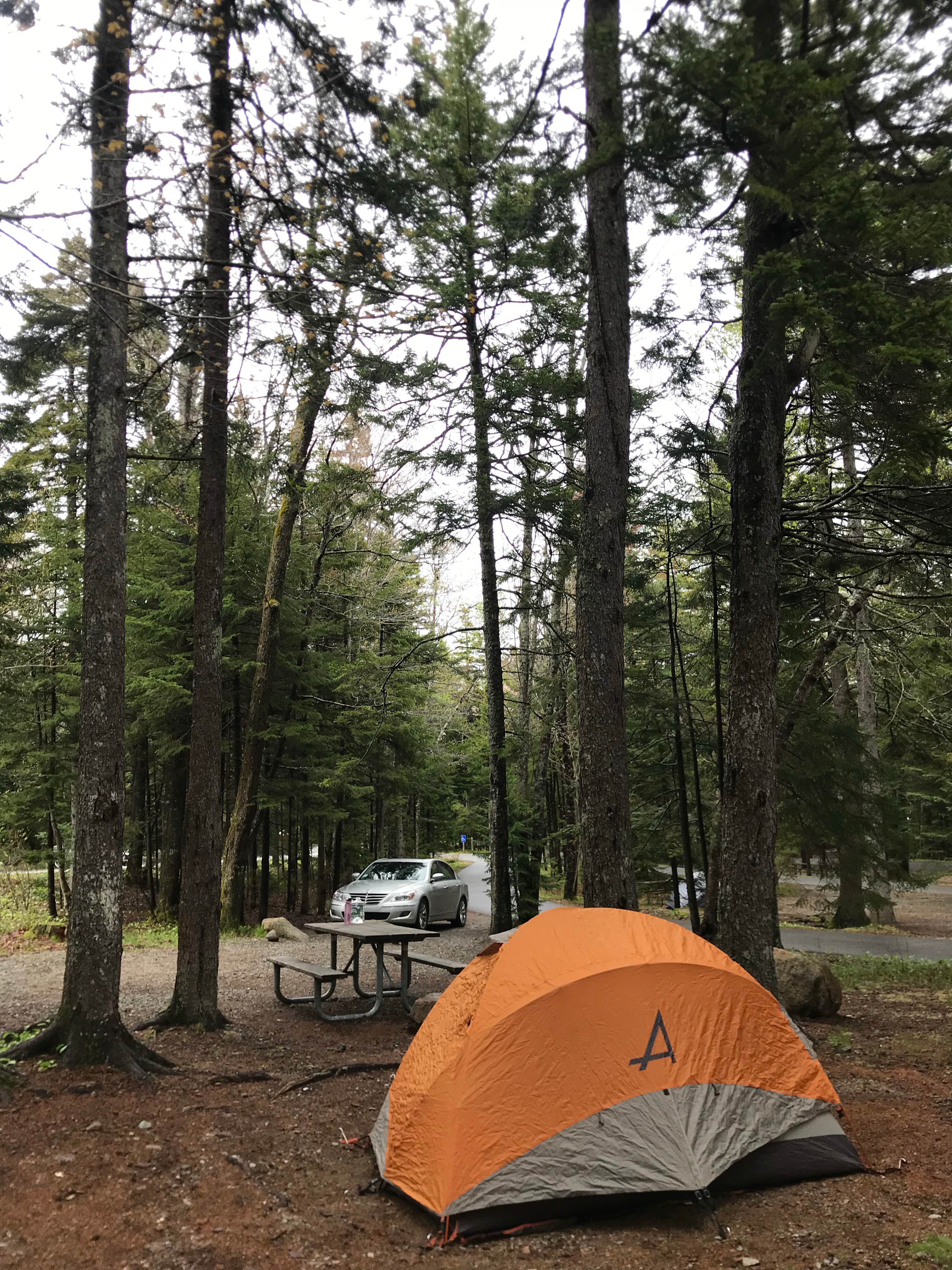 Anna C.'s photo at Blackwoods Campground — Acadia National Park near Seal Harbor, ME