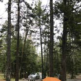 Review photo of Blackwoods Campground — Acadia National Park by Anna C., June 11, 2019