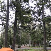 Review photo of Blackwoods Campground — Acadia National Park by Anna C., June 11, 2019