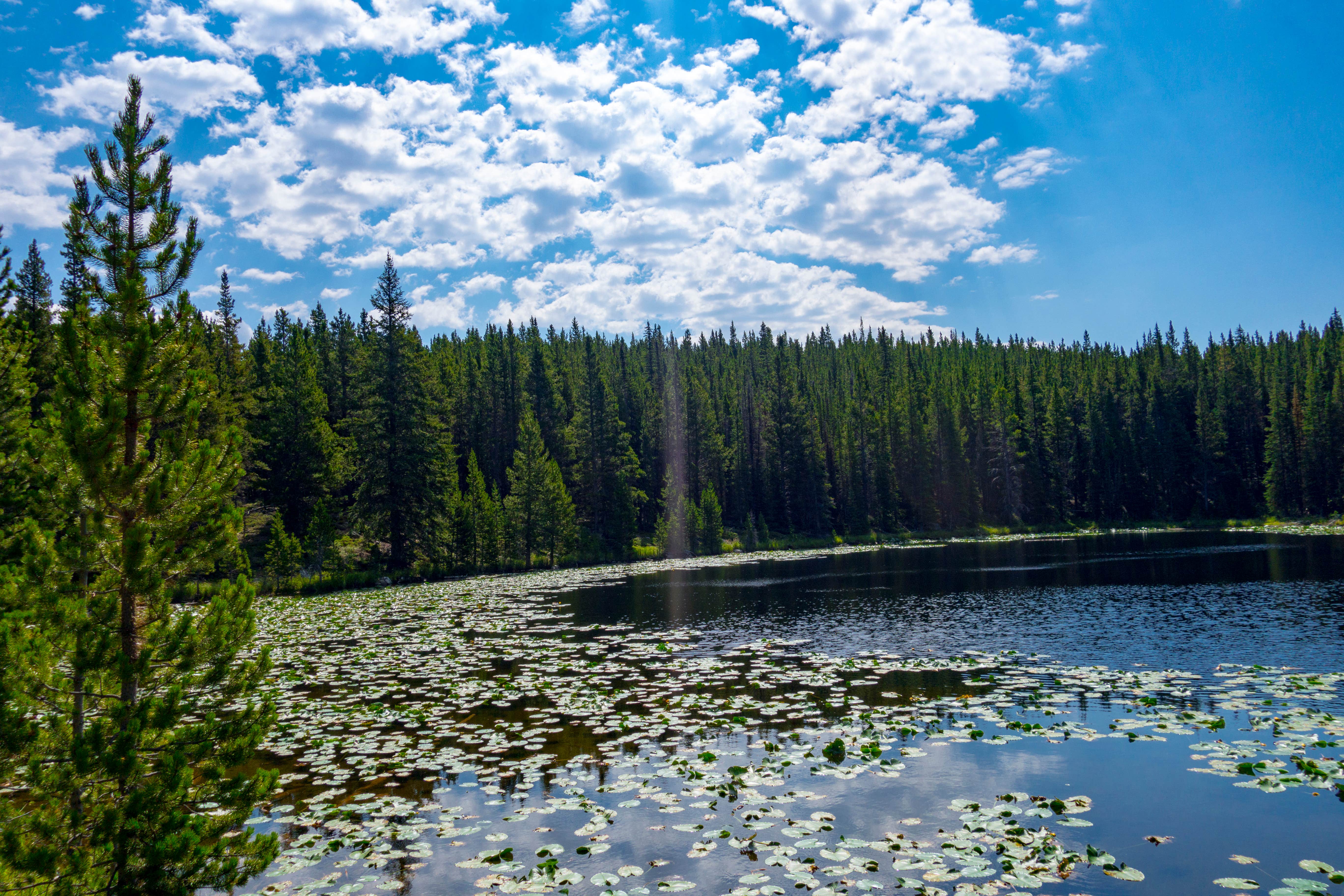 Camper submitted image from Ranger Creek - 3