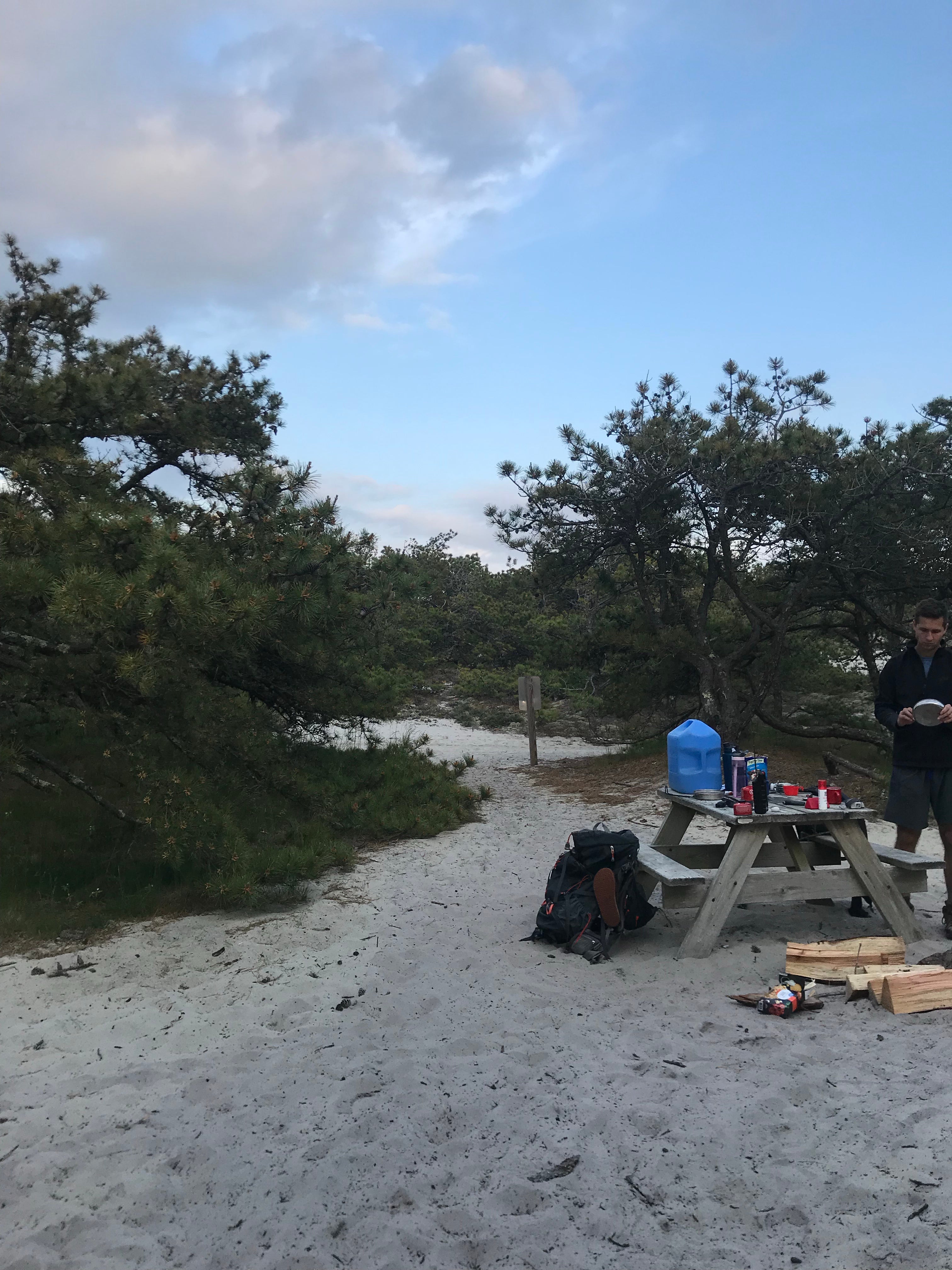 Camper submitted image from Sandy Neck Beach Park Primitive Campsites - 5