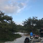 Review photo of Sandy Neck Beach Park Primitive Campsites by Anna C., June 11, 2019