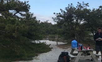 Anna C.'s photo at Sandy Neck Beach Park Primitive Campsites near Sandwich, MA