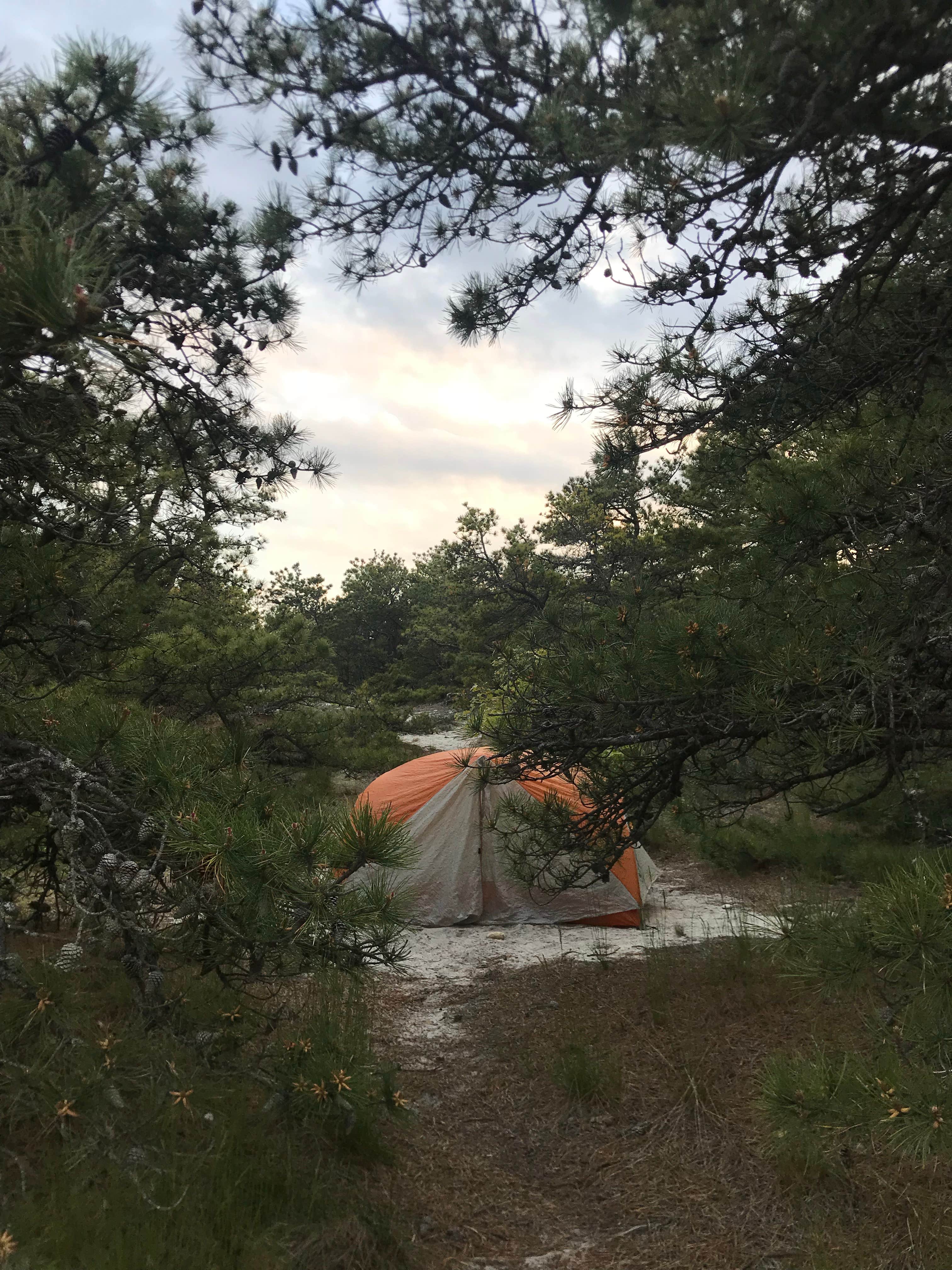 Anna C.'s photo of tent camping at Sandy Neck Beach Park Primitive Campsites near Buzzards Bay, MA