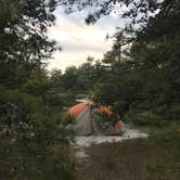 Review photo of Sandy Neck Beach Park Primitive Campsites by Anna C., June 11, 2019