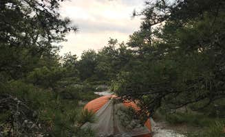 Anna C.'s photo of tent camping at Sandy Neck Beach Park Primitive Campsites near Siasconset, MA