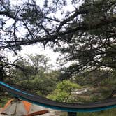 Review photo of Sandy Neck Beach Park Primitive Campsites by Anna C., June 11, 2019