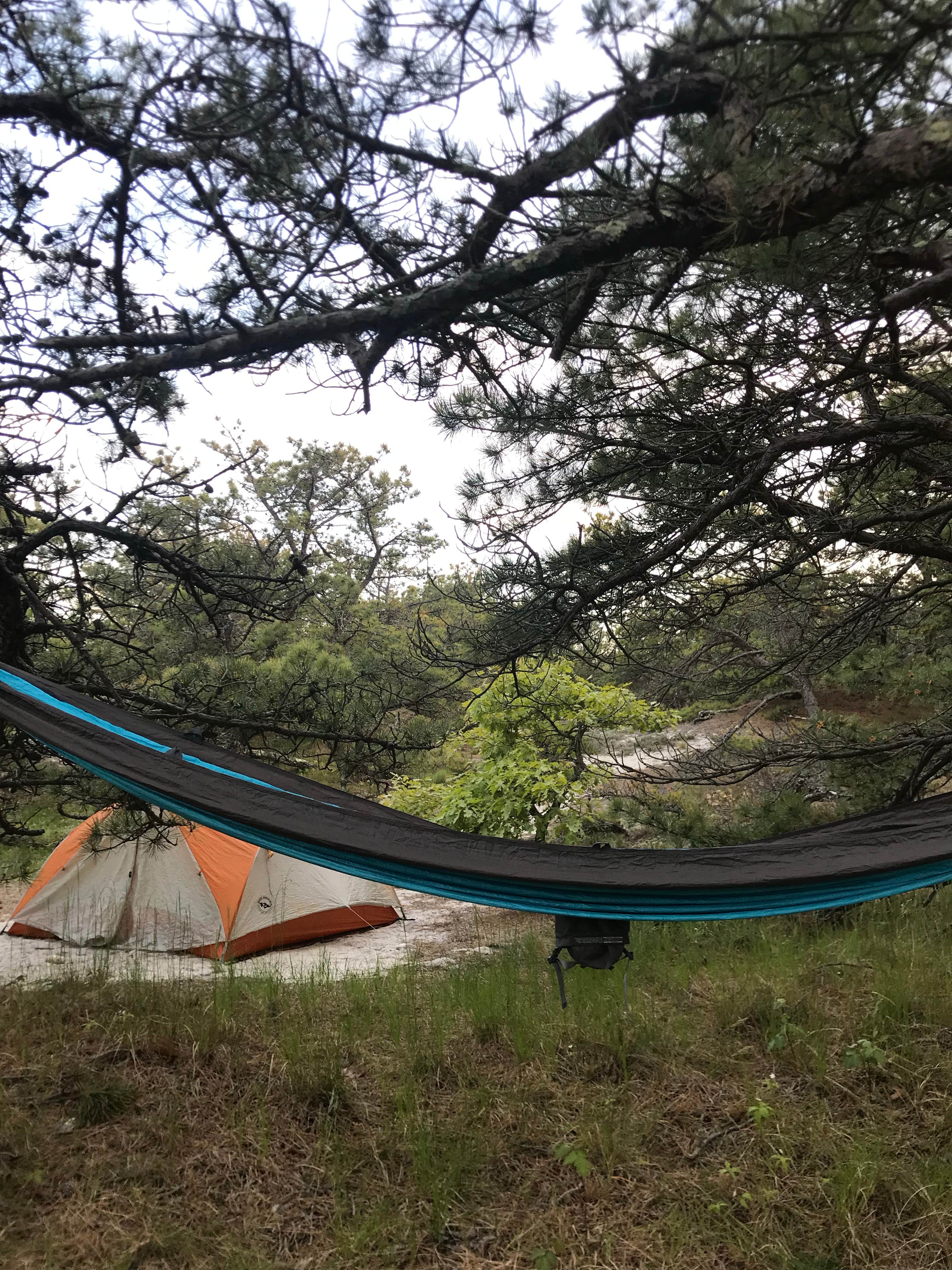 Camper submitted image from Sandy Neck Beach Park Primitive Campsites - 3