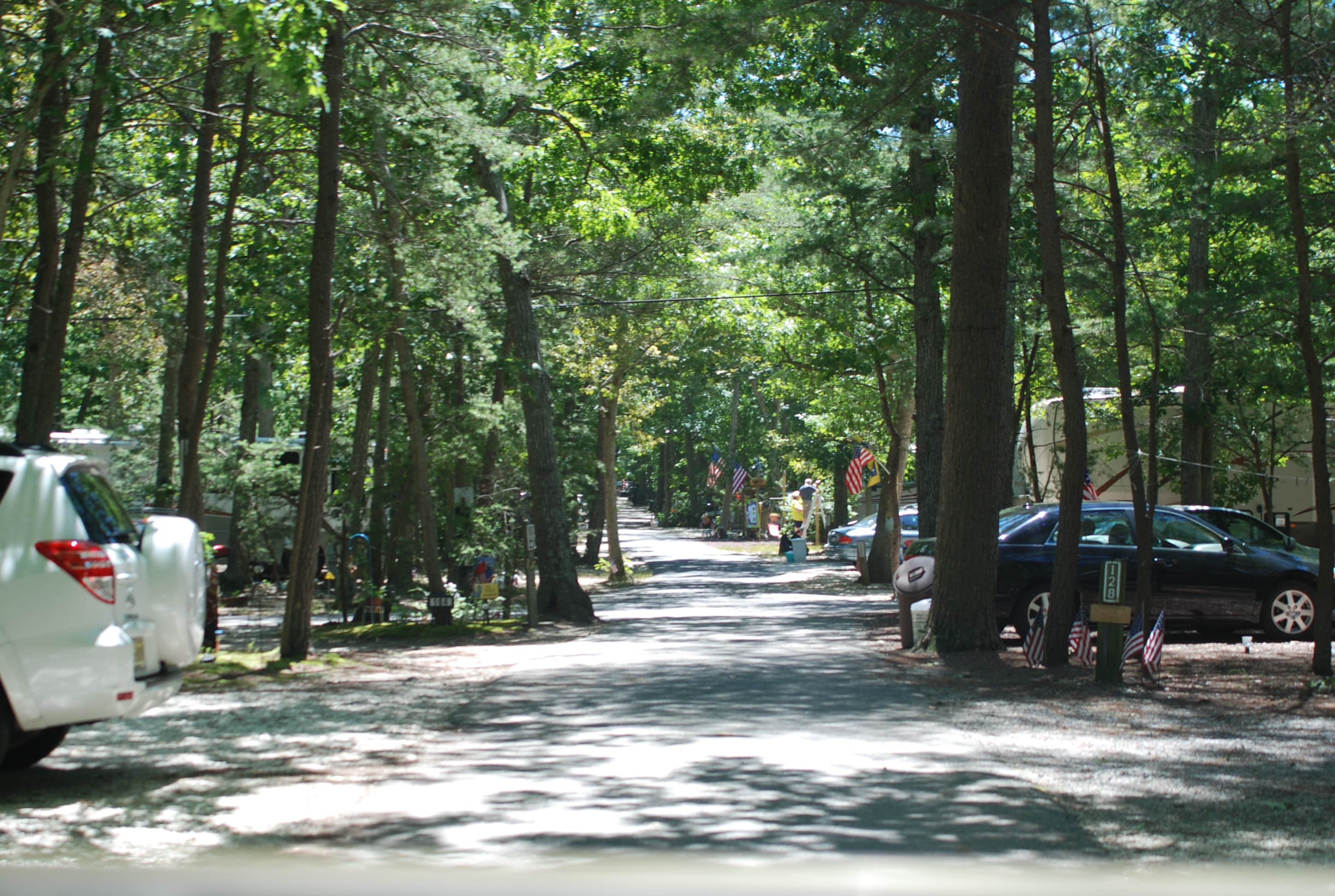 Escape to Nature's Embrace: Your Guide to New Jersey's Whippoorwill Campground