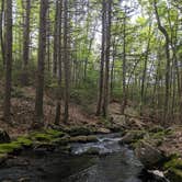 Review photo of Pearl Hill State Park Campground by Jenny M., June 11, 2019