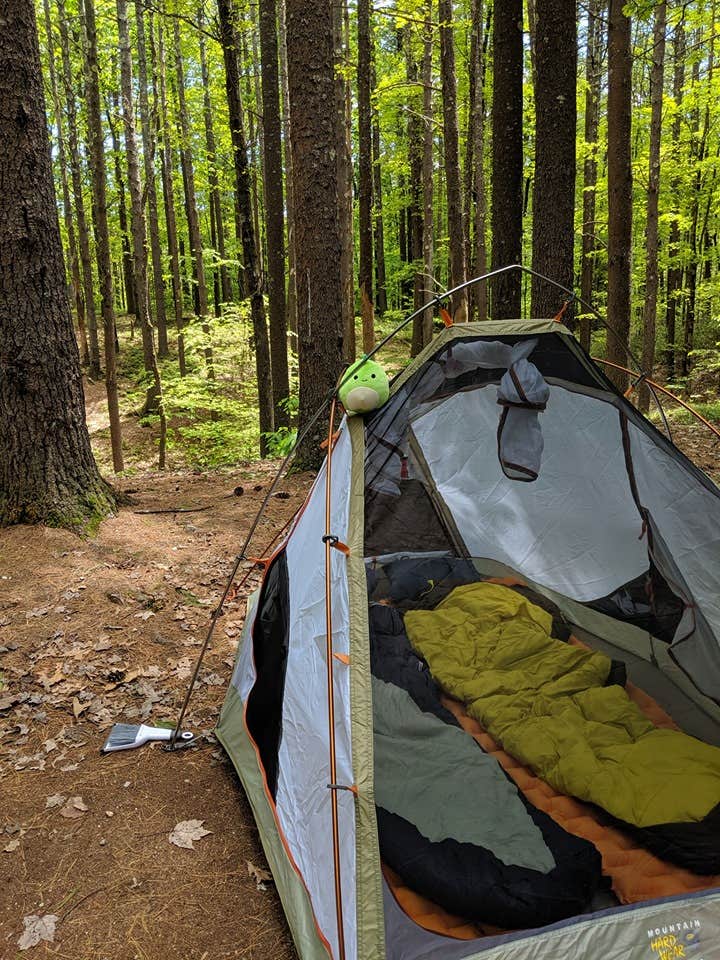 Jenny M.'s photo at Pearl Hill State Park Campground near Dunstable, MA