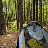 Review photo of Pearl Hill State Park Campground by Jenny M., June 11, 2019