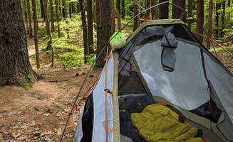 Jenny M.'s photo at Pearl Hill State Park Campground near Sterling, MA