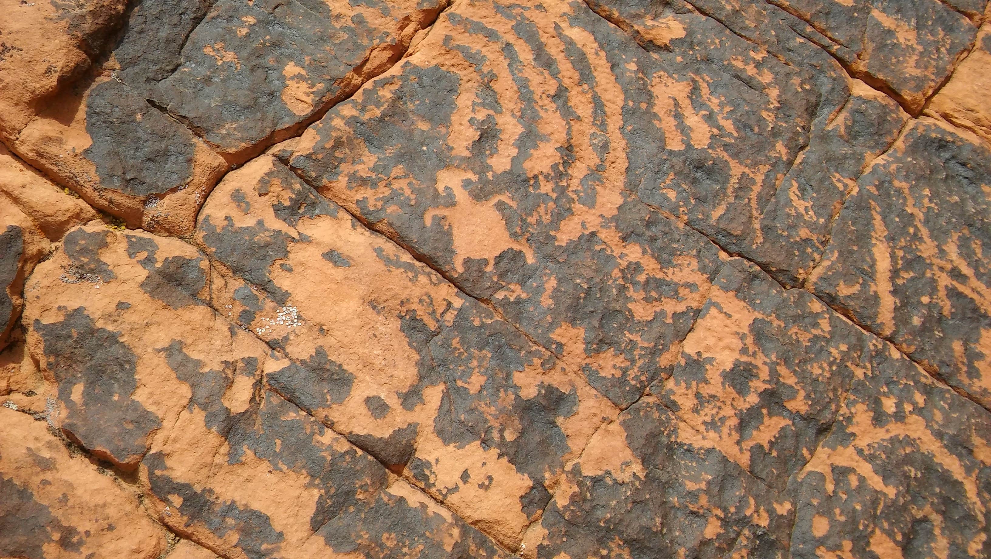 Camper submitted image from Atlatl Rock Campground — Valley of Fire State Park - 3