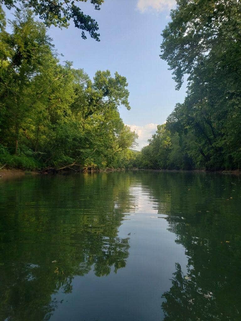 Camper-submitted photo at Mad Musky Water Sports Rentals near Pocahontas, TN