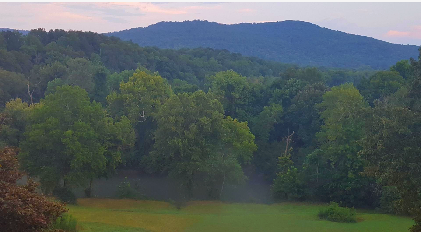 Camper-submitted photo at Mad Musky Water Sports Rentals near Pocahontas, TN