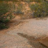 Review photo of Atlatl Rock Campground — Valley of Fire State Park by Sandy K., September 1, 2016