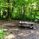 Review photo of Sol Duc Hot Springs Resort Campground — Olympic National Park by Lisa M., June 11, 2019