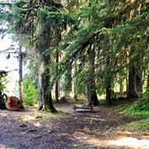 Review photo of Sol Duc Hot Springs Resort Campground — Olympic National Park by Lisa M., June 11, 2019
