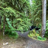 Review photo of Sol Duc Hot Springs Resort Campground — Olympic National Park by Lisa M., June 11, 2019