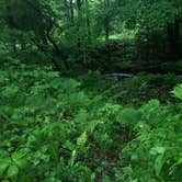 Review photo of Moreau Lake State Park Campground by Matthew L., September 1, 2016