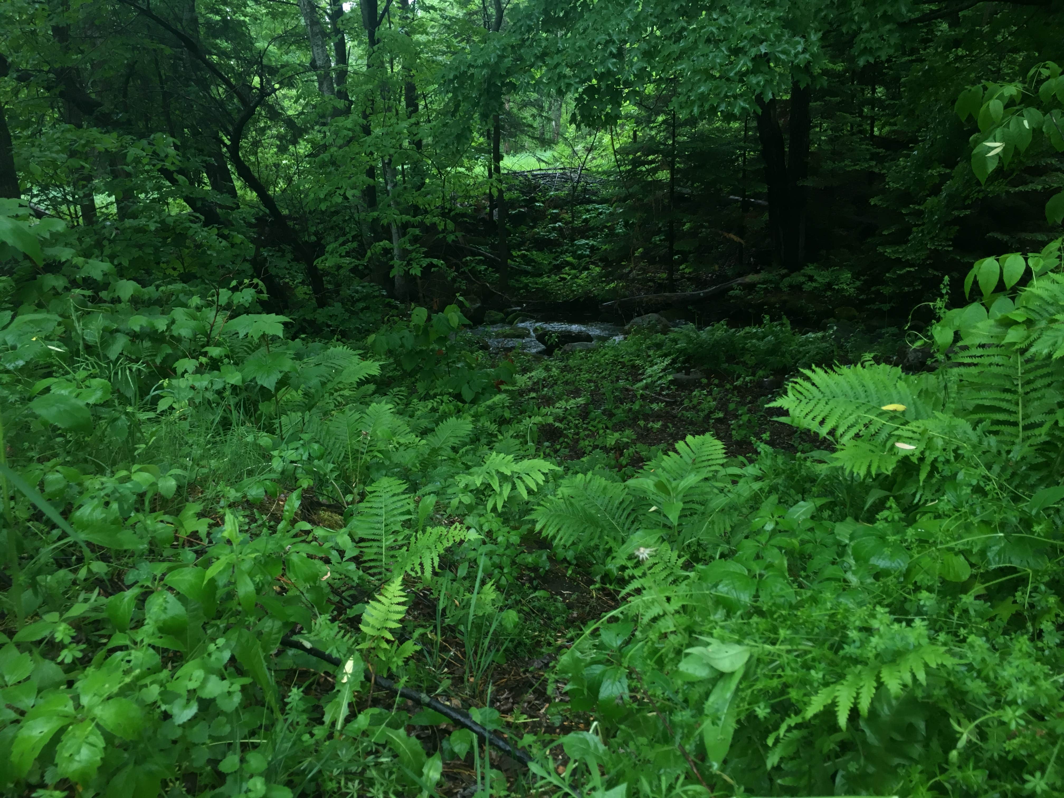 Camper submitted image from Moreau Lake State Park Campground - 3