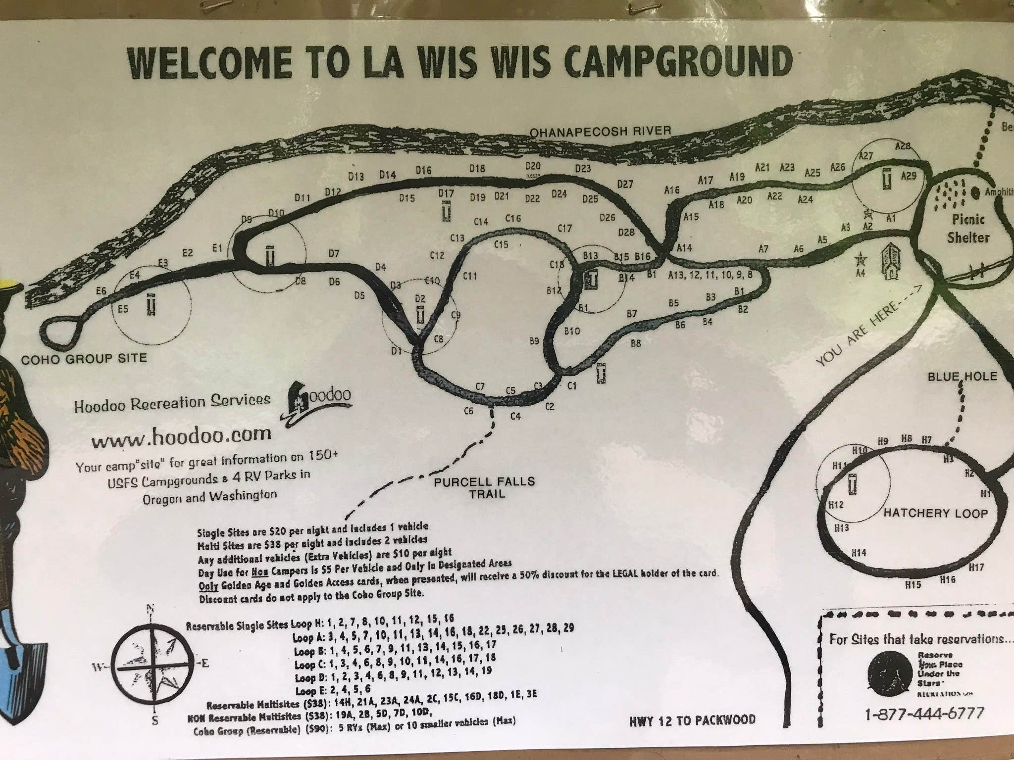 Camper submitted image from La Wis Wis Campground - 5