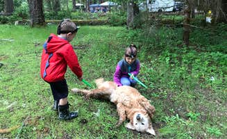 Mary C.'s photo of camping with pets at La Wis Wis Campground near Randle, WA