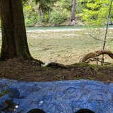 Review photo of La Wis Wis Campground by Mary C., June 11, 2019