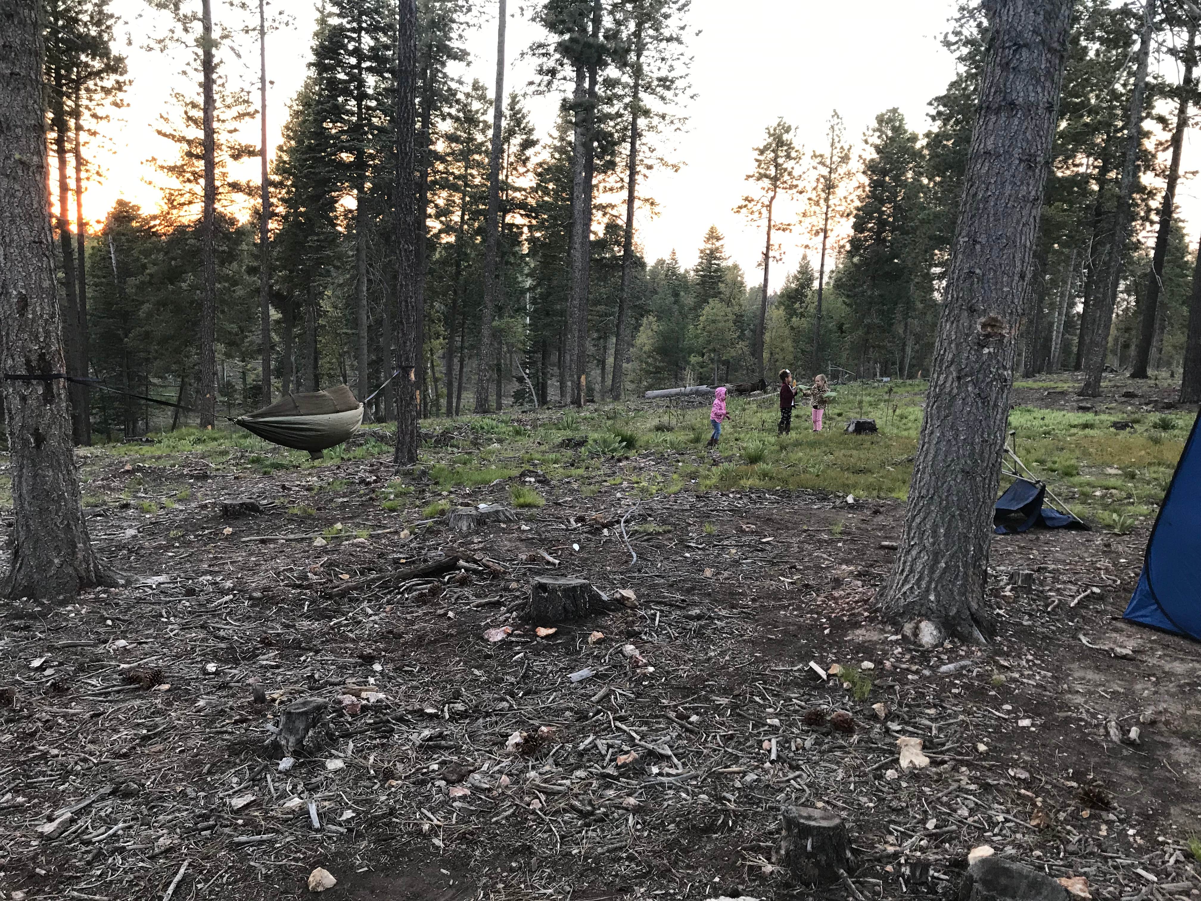 Camper submitted image from Bear Canyon Lake and Camping Area - 4