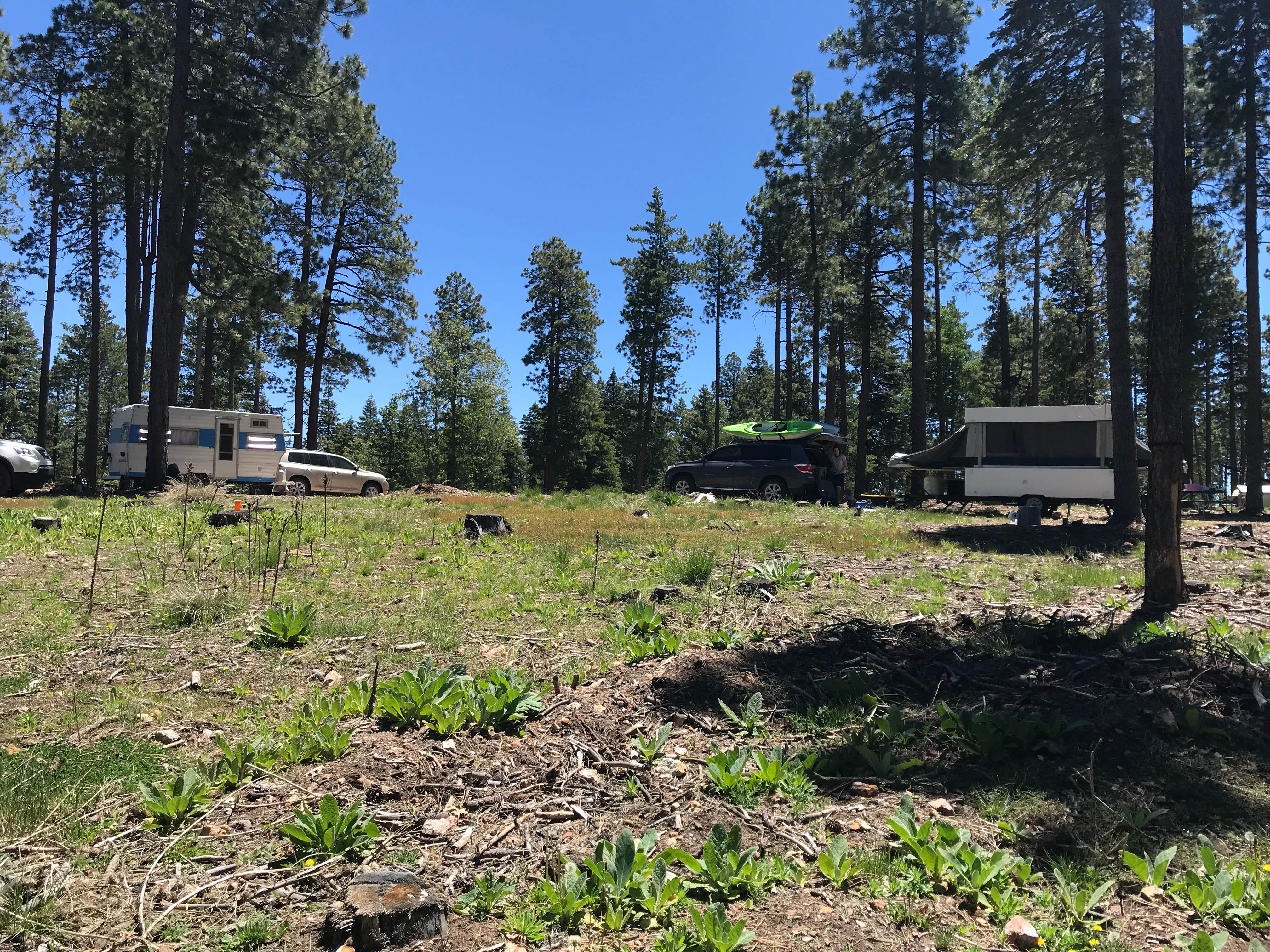 Jacob S.'s photo of rv camping at Bear Canyon Lake and Camping Area near Sun Valley, AZ