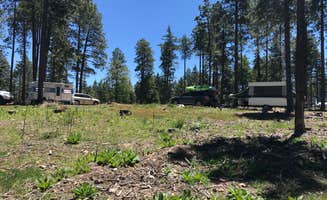 Jacob S.'s photo of rv camping at Bear Canyon Lake and Camping Area near Kohls Ranch, AZ