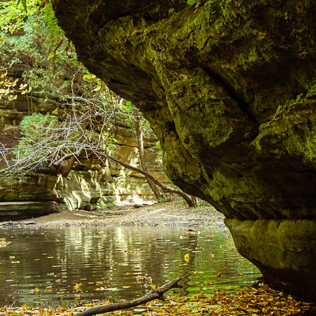 Starved Rock State Park Campground Camping The Dyrt