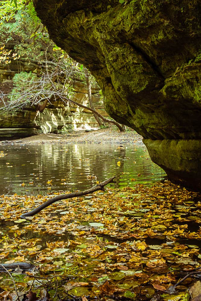 Nature