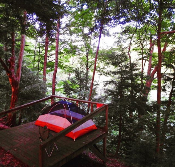 Camper submitted image from Breakneck Campground - 2