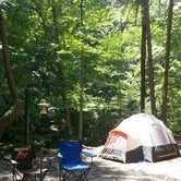 Review photo of Mash Fork Campground — Camp Creek State Park by Jim P., June 11, 2019