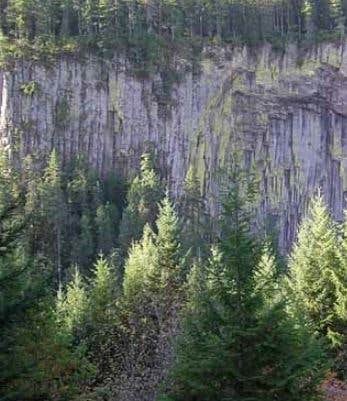 View All