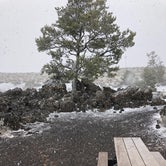 Review photo of Lava Flow Campground — Craters of the Moon National Monument by Kipp W., June 11, 2019