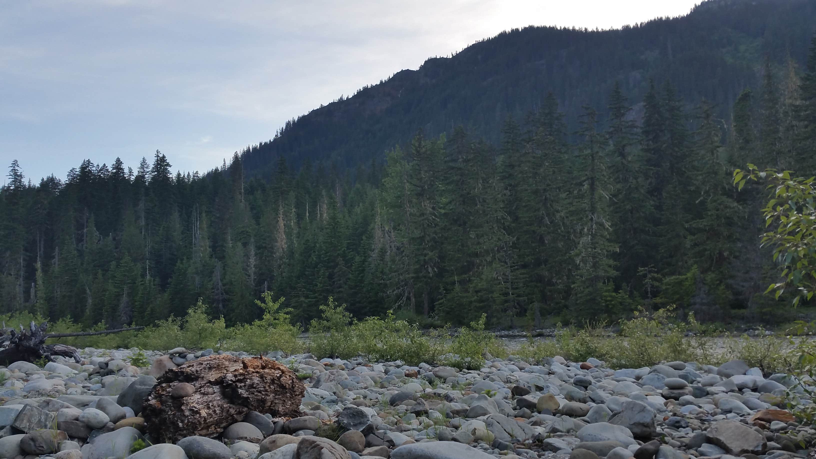 Camper-submitted photo at French Cabin Creek Recreation Area near Easton, WA