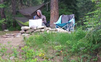 Megan C.'s photo at French Cabin Creek Recreation Area near Roslyn, WA