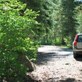 Review photo of French Cabin Creek Recreation Area by Megan C., June 12, 2019