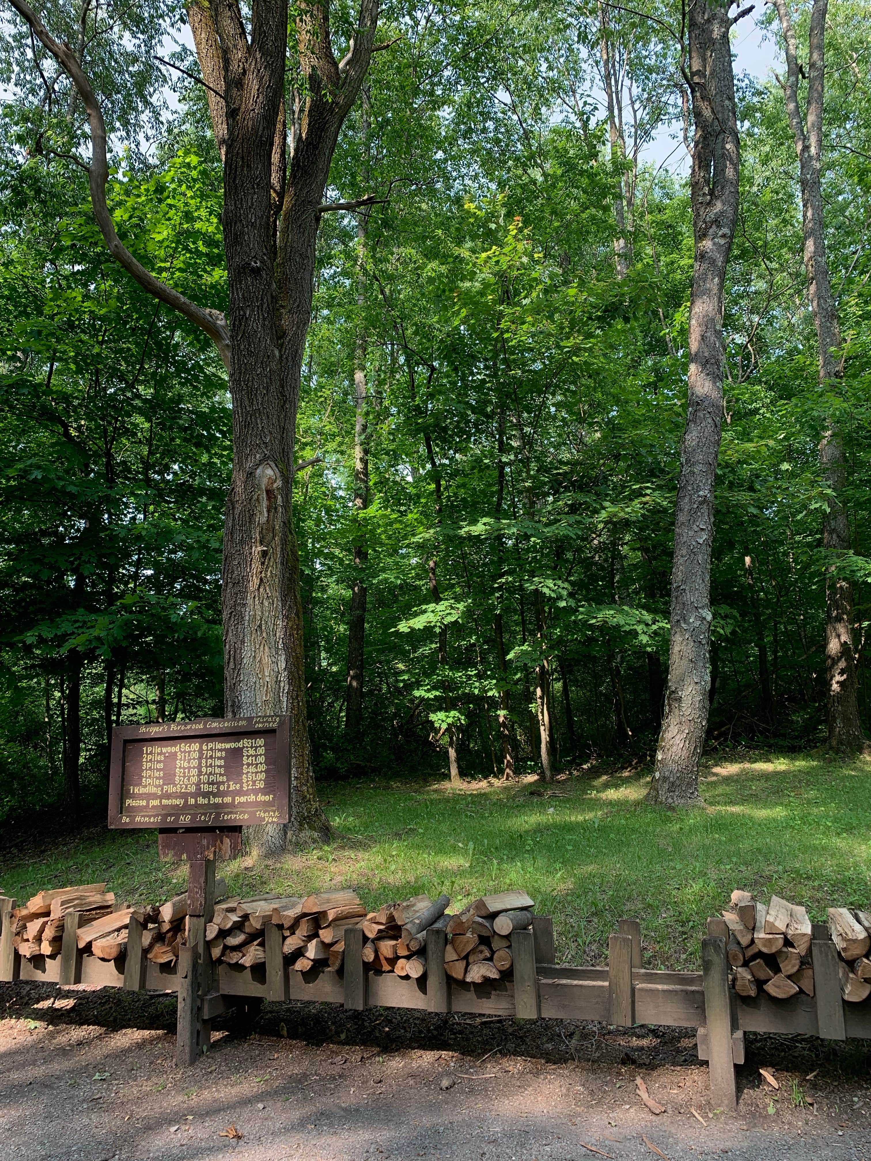 Camper-submitted photo at Kentuck Campground — Ohiopyle State Park near Grantsville, MD