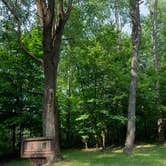 Review photo of Kentuck Campground — Ohiopyle State Park by Kitty P., June 12, 2019