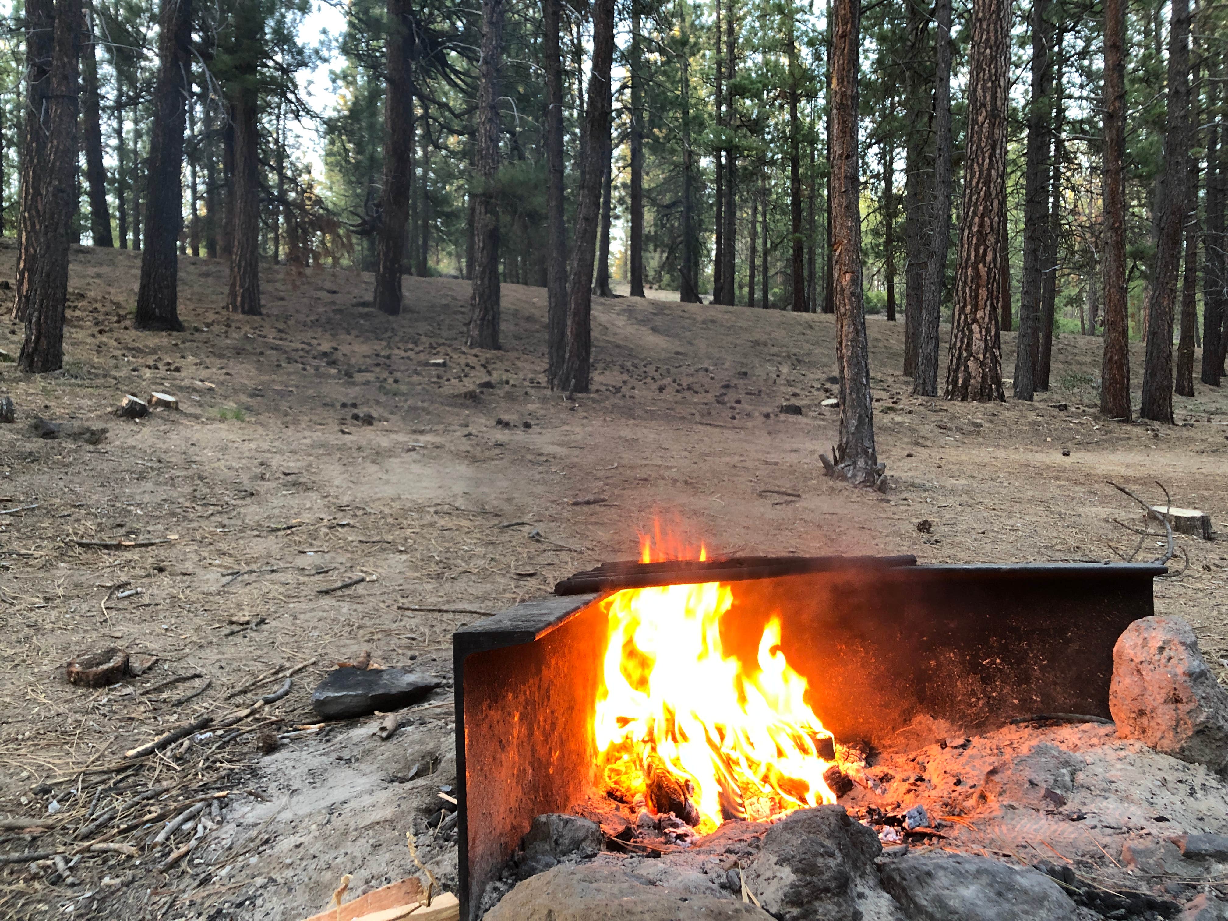 Campsites