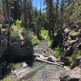 Review photo of Mckay Crossing Campground by Delaney H., June 12, 2019