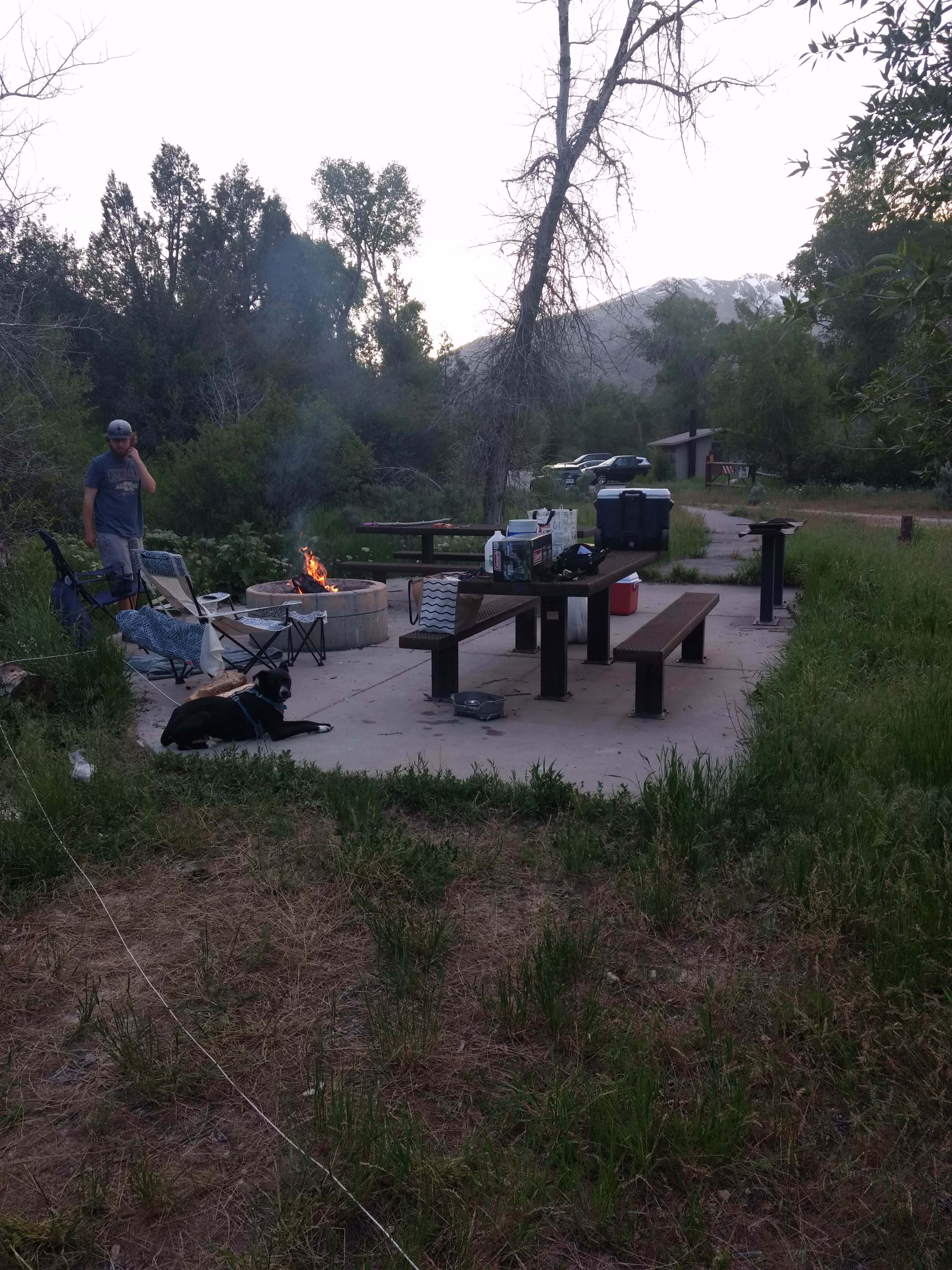 Randi S.'s photo at Diamond Fork near Springville, UT